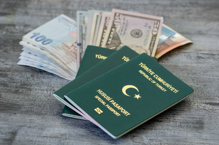 AVRUPA'DAN YEŞİL PASAPORTA ONAY ŞARTI