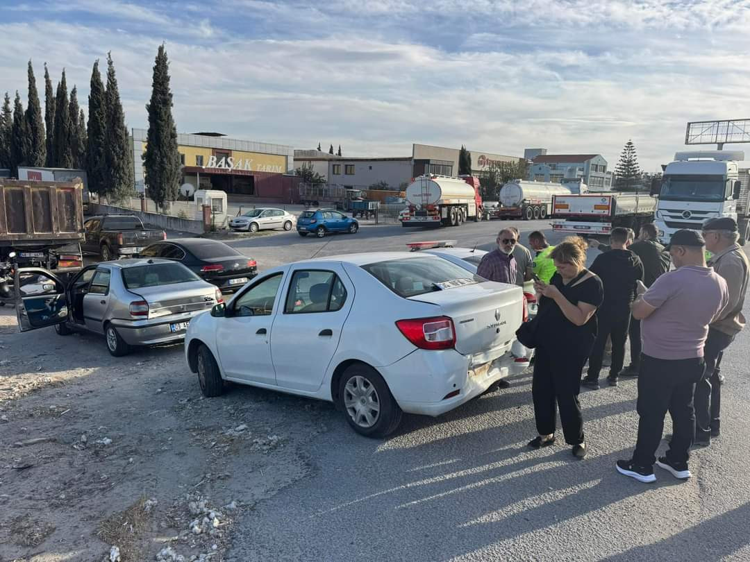 SÖKE'DE BAŞIBOŞ EŞEK KAZAYA NEDEN OLDU 